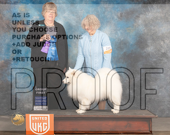 American Eskimo #205 Sat2 G1 Judge Pamela Moore_MMJ_5323_BeltonTxClassic2021-HR3