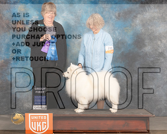 American Eskimo #205 Sat2 G1 Judge Pamela Moore_MMJ_5325_BeltonTxClassic2021-HR3
