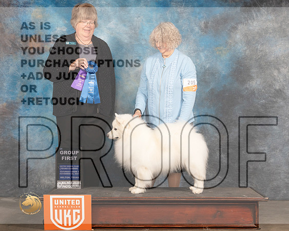 American Eskimo #205 Sat2 G1 Judge Pamela Moore_MMJ_5329_BeltonTxClassic2021-HR3