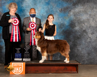 Australian Shepherd #219 Sat ABIS Judges Pamela Moore Stan Matsumoto