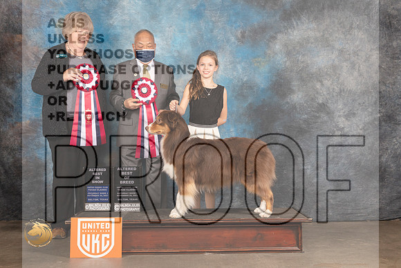 Australian Shepherd #219 Sat ABIS Judges Pamela Moore Stan Matsumoto_MMJ_5466_BeltonTxClassic2021-HR3