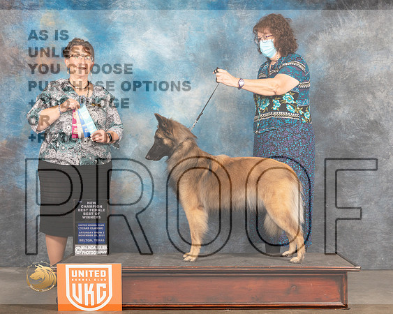Belgian Shepherd Dog #139 Sat BOW Judge Nancy Eilks_MMJ_5383_BeltonTxClassic2021-HR3