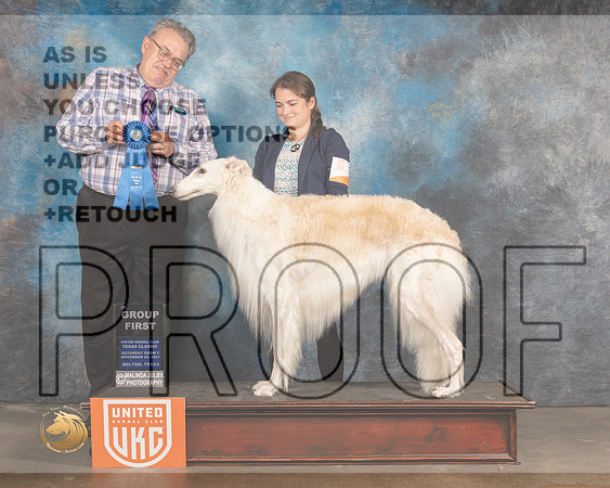 Borzoi #328 Sat G1 Judge Rich Klatt_MMJ_5374_BeltonTxClassic2021-HR3