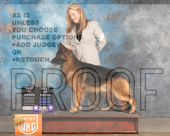 German Shepherd Dog #376 Sat BOB Judge Rich Klatt Judge Nancy Eilks_MMJ_5376_BeltonTxClassic2021-HR3