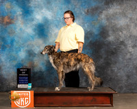 Silken Windhound #409 Sat BOW Judge Rich Klatt