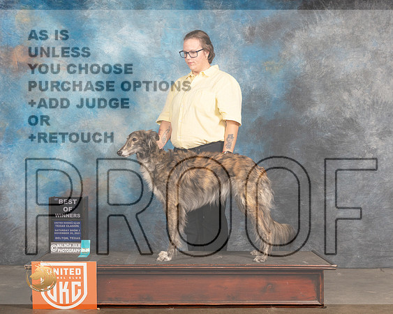 Silken Windhound #409 Sat BOW Judge Rich Klatt_MMJ_5356_BeltonTxClassic2021-HR3