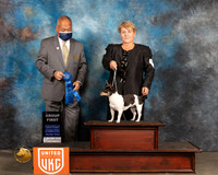 Teddy Roosevelt Terrier #418 Sat2 G1 Judge Stan Matsumoto