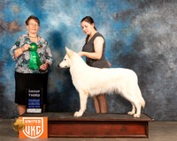 White Shepherd Dog #472 Sat G3 Judge Nancy Eilks