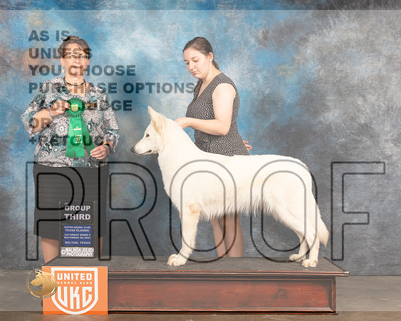 White Shepherd Dog #472 Sat G3 Judge Nancy Eilks_MMJ_5396_BeltonTxClassic2021-HR3