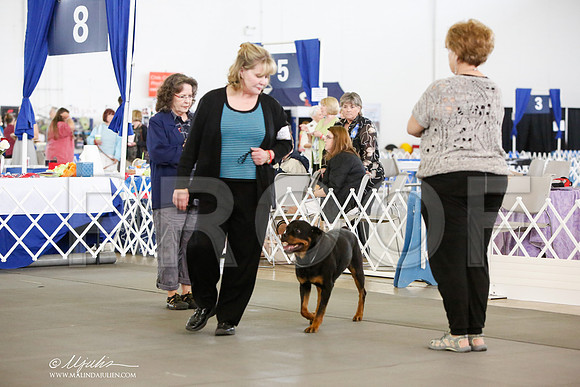 _JN_8430-DallasJul2014-HR3