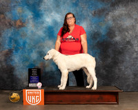 Akbash #201 Thur BPup Judge Debbie Mitchell