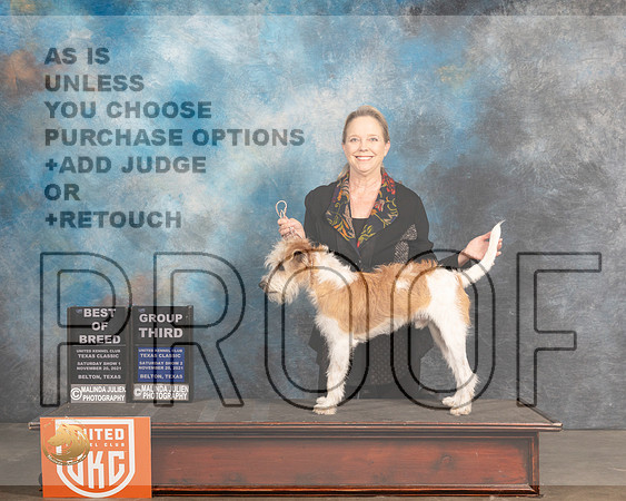 Kromfohrlander #163 Sat G3 Judge Nancy Eilks r_MMJ_5511_BeltonTxClassic2021-HR3