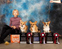 Pembroke Welsh Corgi #121 123 148 Thurs