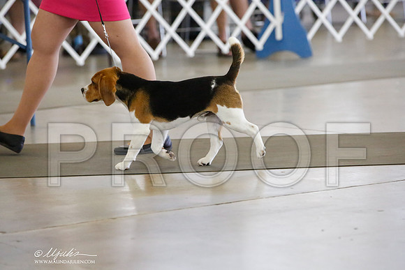 _HR_0184-DallasJul2014-HR3