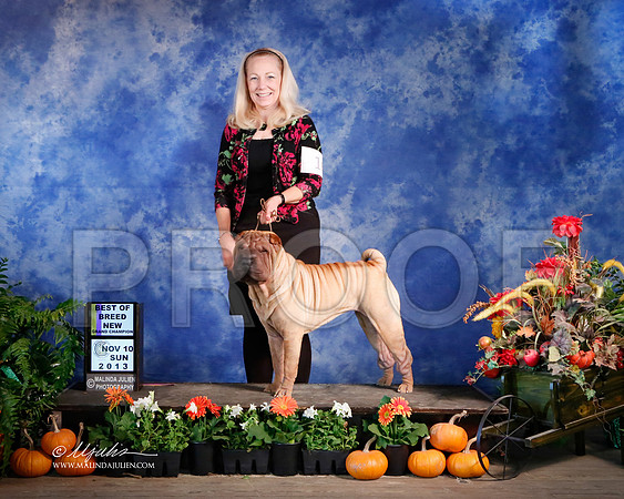CSP-5201-HstnNov13-HR