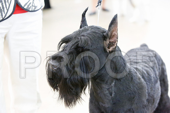 _JJ_0202-DallasJul2014-HR3