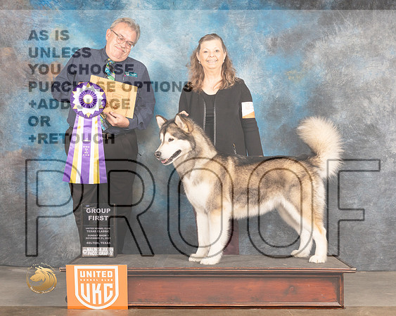 Alaskan Malamute #274 Sun Judge Rich Klatt_MMJ_6001_BeltonTxClassic2021-HR3
