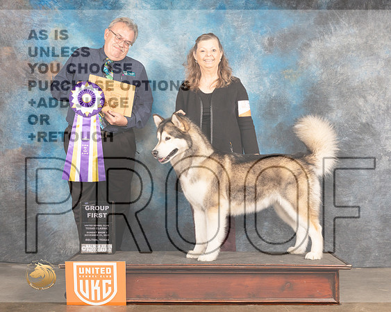 Alaskan Malamute #274 Sun Judge Rich Klatt_MMJ_6002_BeltonTxClassic2021-HR3
