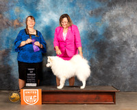 American Eskimo #190 Sat1 BOB Judge Nancy Eilks