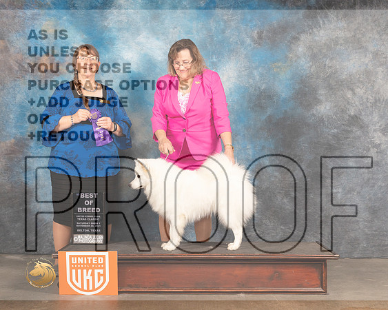 American Eskimo #190 Sat1 BOB Judge Nancy Eilks_MMJ_5885_BeltonTxClassic2021-HR3