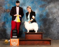 American Eskimo #299 Sun G4 Judge Kevin Izard Carroll