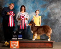 Australian Shepherd #219 Sun ABIS Judge Richard Klatt