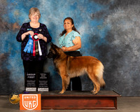 Belgian Terverun #438 Sun G1 Judge Pamela Moore