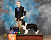 Border Collie #11 Sun BOB Judge Jennifer Landers