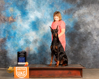 Doberman Pinscher #232 URO1 Judge Karen Shivers