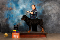 Rottweiler #? BOB