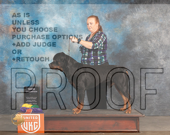 Rottweiler #? BOB_MMJ_5788_BeltonTxClassic2021-HR3