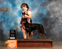 Rottweiler #134 Sun 1 BFx5