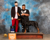 Rottweiler #283 Sun BOW Judge Kevin Izard Carroll