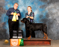 Rottweiler #295 Sun G3 Judge Rich Klatt