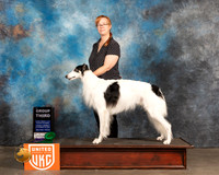Silken Windhound #403 Fri G2 Judge Stan Matsumoto