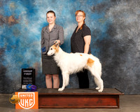 Silken Windhound #405 Sat G1 Judge Nancy Eilks