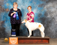 Silken Windhound #405 Sun BOB G1 Judge Pamela Moore