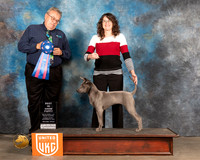 Thai Ridgeback #522 Sun PBIS Judge Rich Klatt