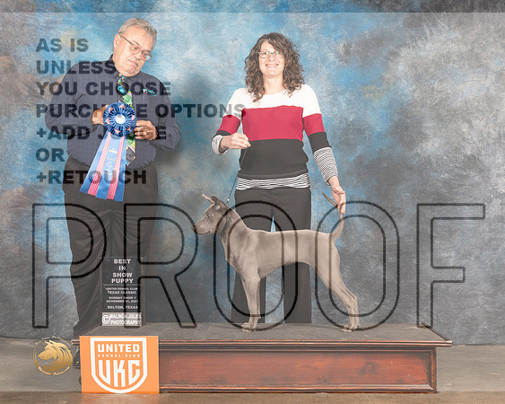 Thai Ridgeback #522 Sun PBIS Judge Rich Klatt_MMJ_6033_BeltonTxClassic2021-HR3
