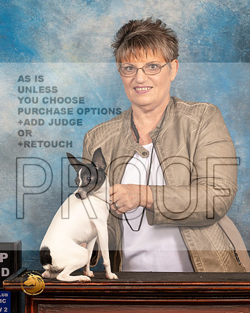 Toy Fox Terrier #421_MMJ_5982_BeltonTxClassic2021-HR3
