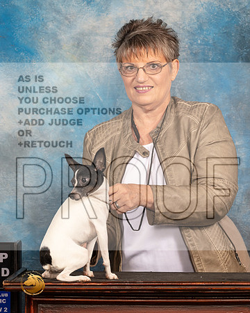 Toy Fox Terrier #421_MMJ_5983_BeltonTxClassic2021-HR3