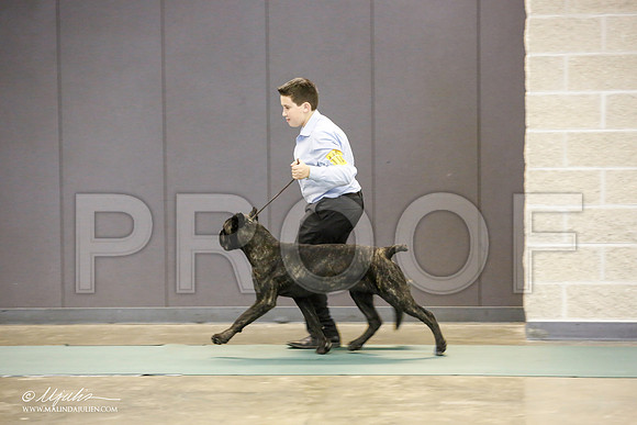 _JN_1676-BeltonJan2015-HR3