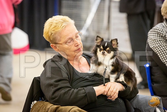 *For Club Candids Sat_JJL_3567-BellvilleCCKC2019-HR3