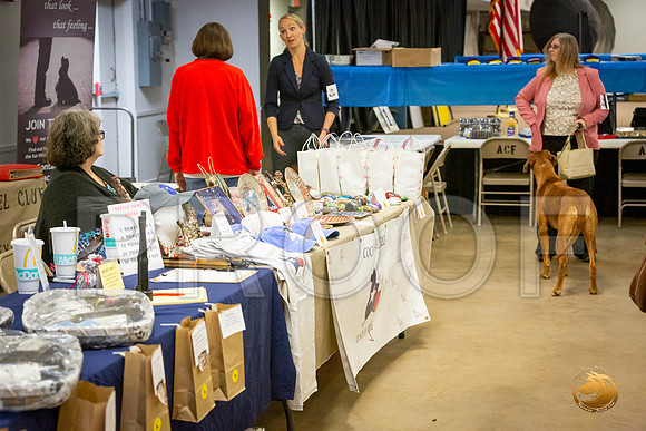 *For Club Candids Sat_JJL_3600-BellvilleCCKC2019-HR3