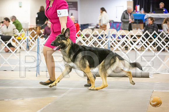 *For Club Candids Sat_JJL_3606-BellvilleCCKC2019-HR3