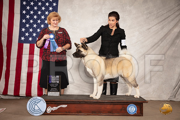 Akita #12 Sat WB NCh Judge Betty Nelson Pollock__SR_2706-BellvilleCCKC2019-HR3