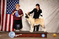 Akita #12 Sat WB NCh Judge Betty Nelson Pollock