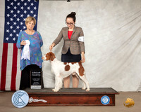 Brittany #5 Sat G4 Judge Carol Jean Nelson