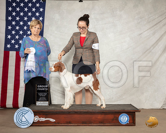 Brittany #5 Sat G4 Judge Carol Jean Nelson__SR_2909-BellvilleCCKC2019-HR3