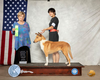 Collie Smooth #5 Sat OHG2 Judge Carol Jean Nelson